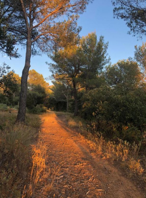 Chemin de randonnée dans la montage sainte victoire à Aix en provence