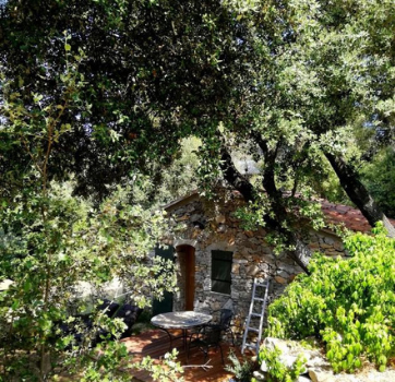 Photo du cabanon olive, maison d'hôte aix en provence, Saint Marc jaumegarde
